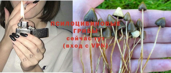 крисы Беломорск