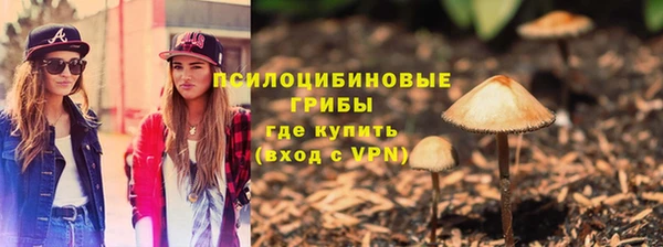 крисы Беломорск