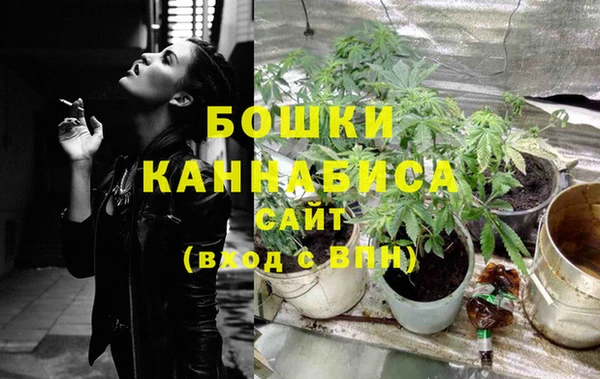 крисы Беломорск