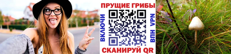 Галлюциногенные грибы GOLDEN TEACHER Болгар