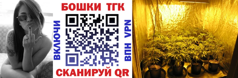 Бошки марихуана ГИДРОПОН  Купить  Болгар 
